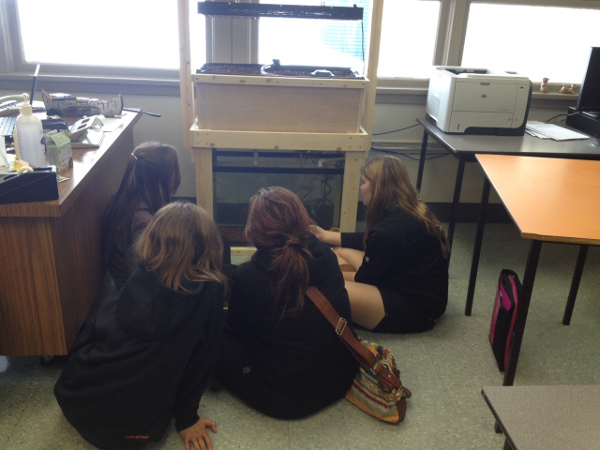 Charles Bloom System