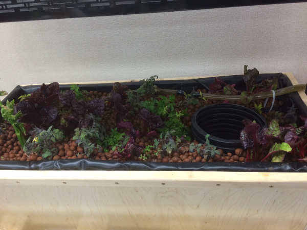 Glenview Elementary School System