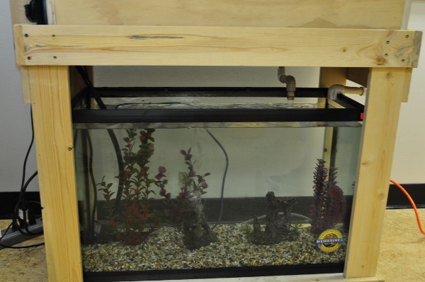 Cherryville Cadence Setup